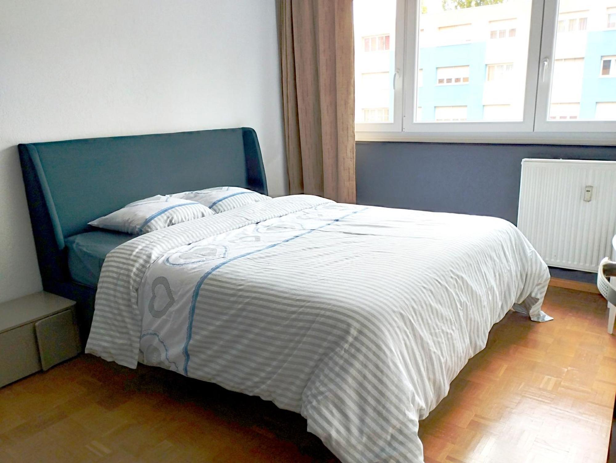 Apartement 2 Rooms Saint Louis - Euroairport - Basel - Train Station מראה חיצוני תמונה